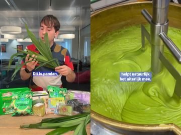 Pandan Menggantikan Matcha, Rempah Asia Jadi Viral di Belanda